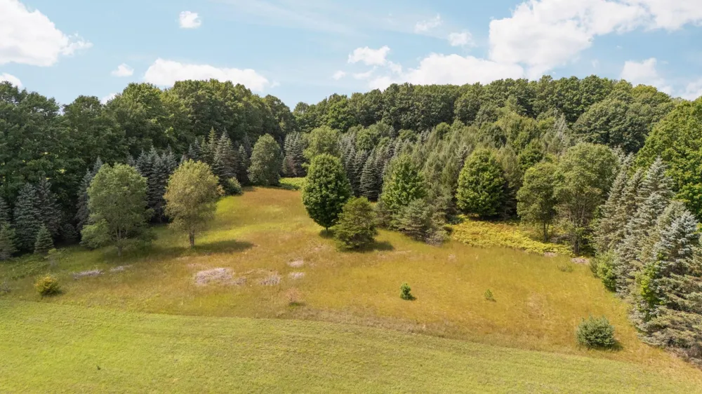 S Snyder Road, SW Springfield Township, MI 49633