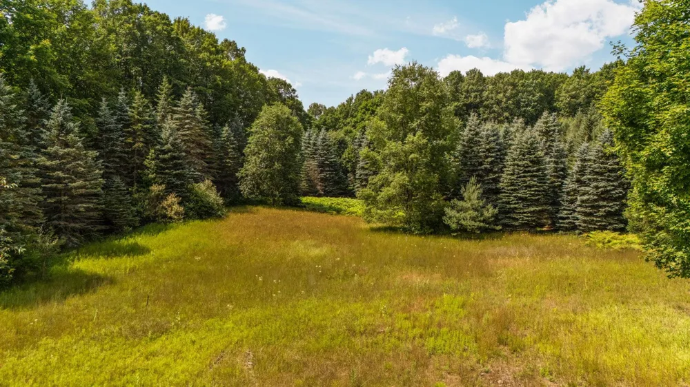 S Snyder Road, SW Springfield Township, MI 49633