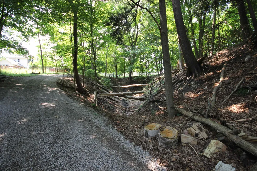 Deer Ridge Trail Lake Township, MI 49617