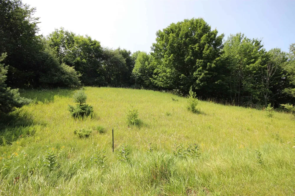 Deer Ridge Trail Lake Township, MI 49617