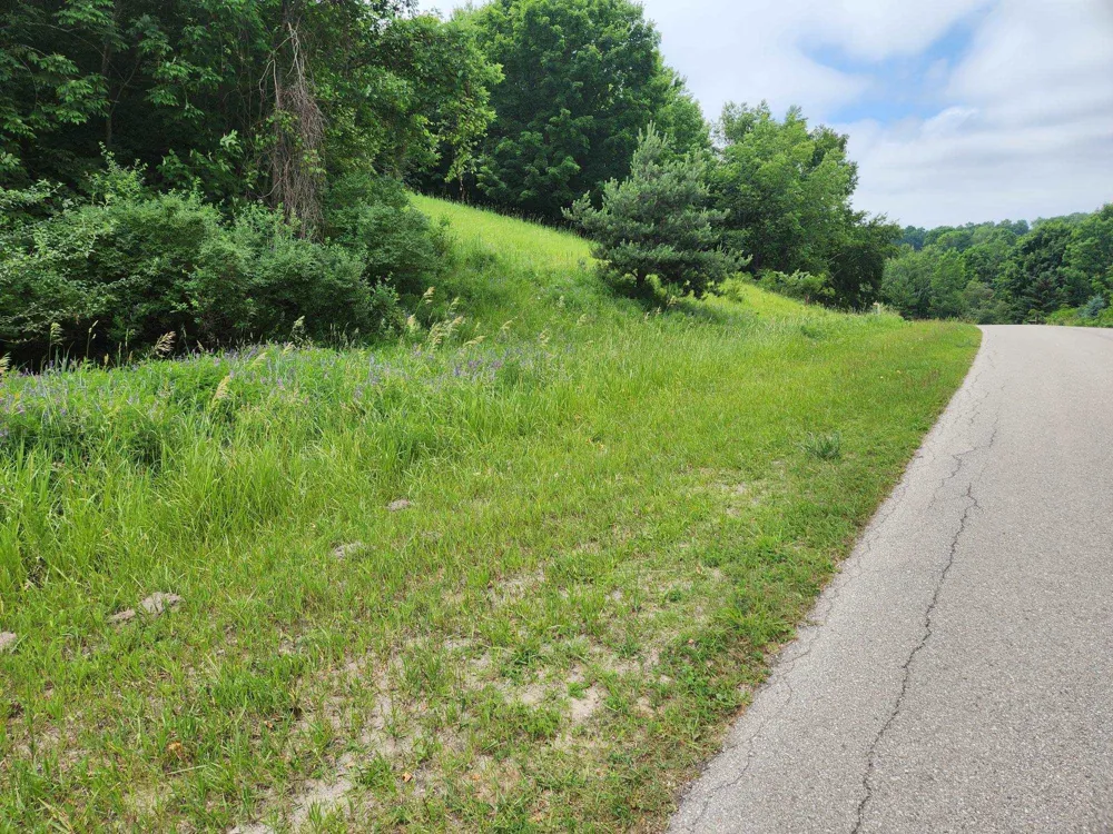 Deer Ridge Trail Lake Township, MI 49617