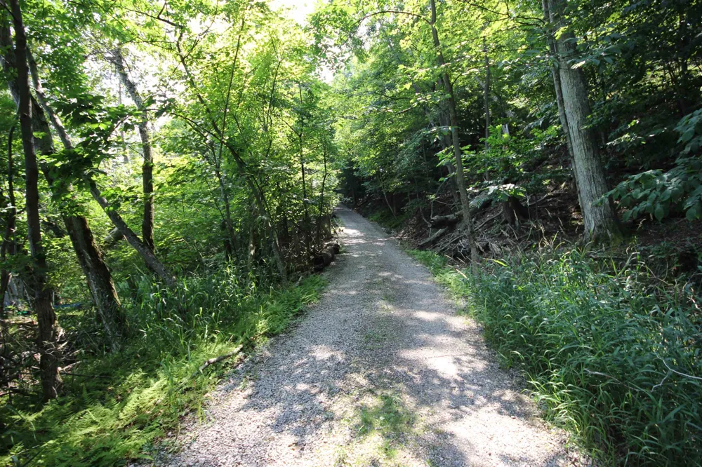Deer Ridge Trail Lake Township, MI 49617
