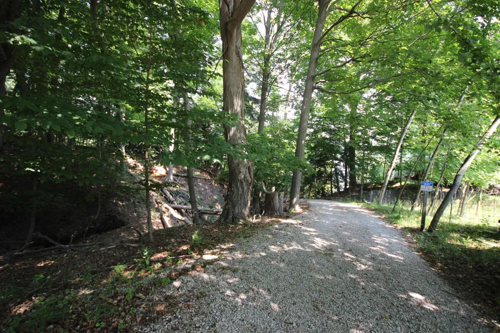 Deer Ridge Trail Lake Township, MI 49617