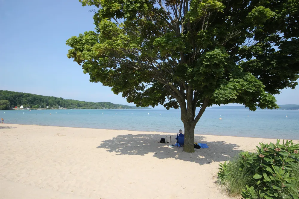 Deer Ridge Trail Lake Township, MI 49617
