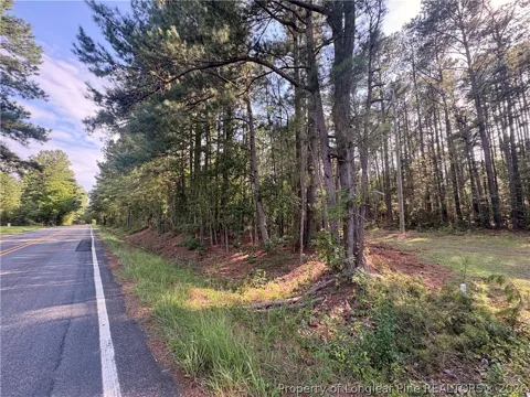S Plank Road