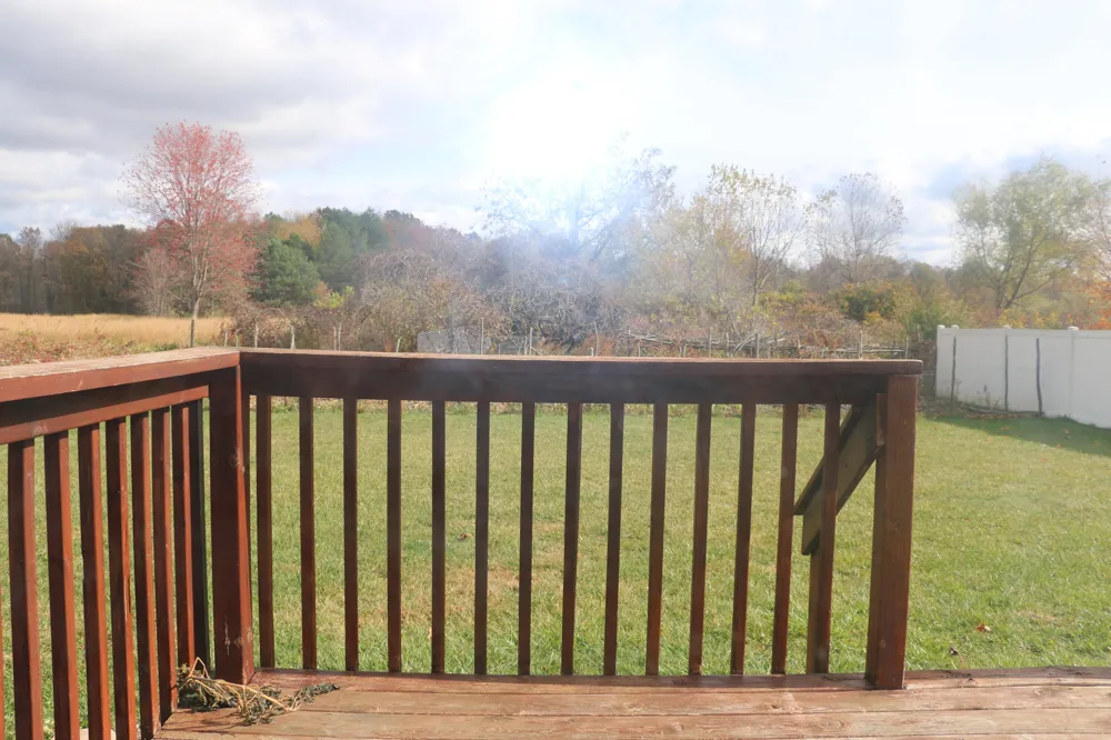 1368 Yarrow Drive Delhi Charter Township, MI 48842