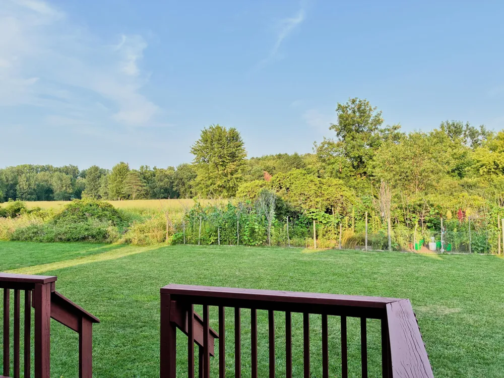 1368 Yarrow Drive Delhi Charter Township, MI 48842