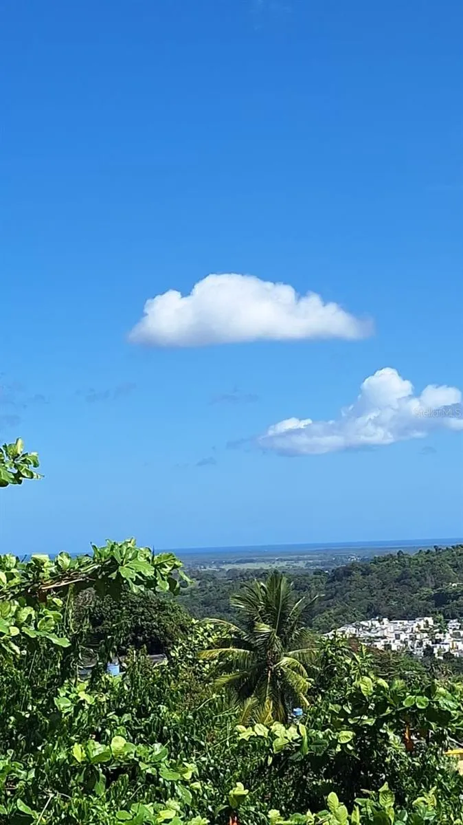263 Calle 24 ALTURAS DE CAMPO RICO Canovanas, PR 00729