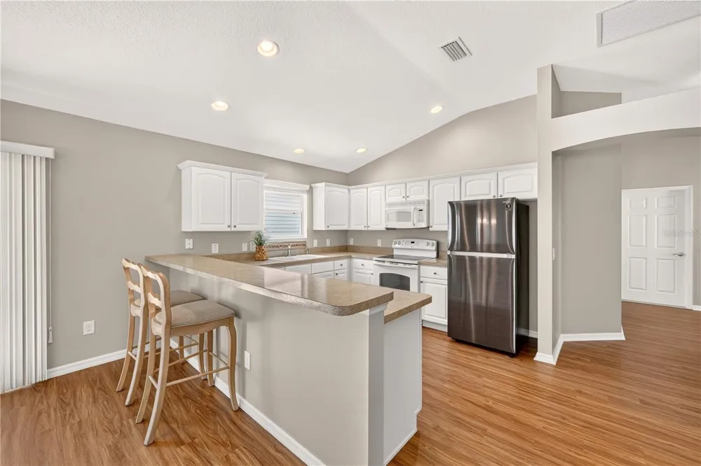 1933 FIDDLEWOOD PLACE The Villages, FL 32162