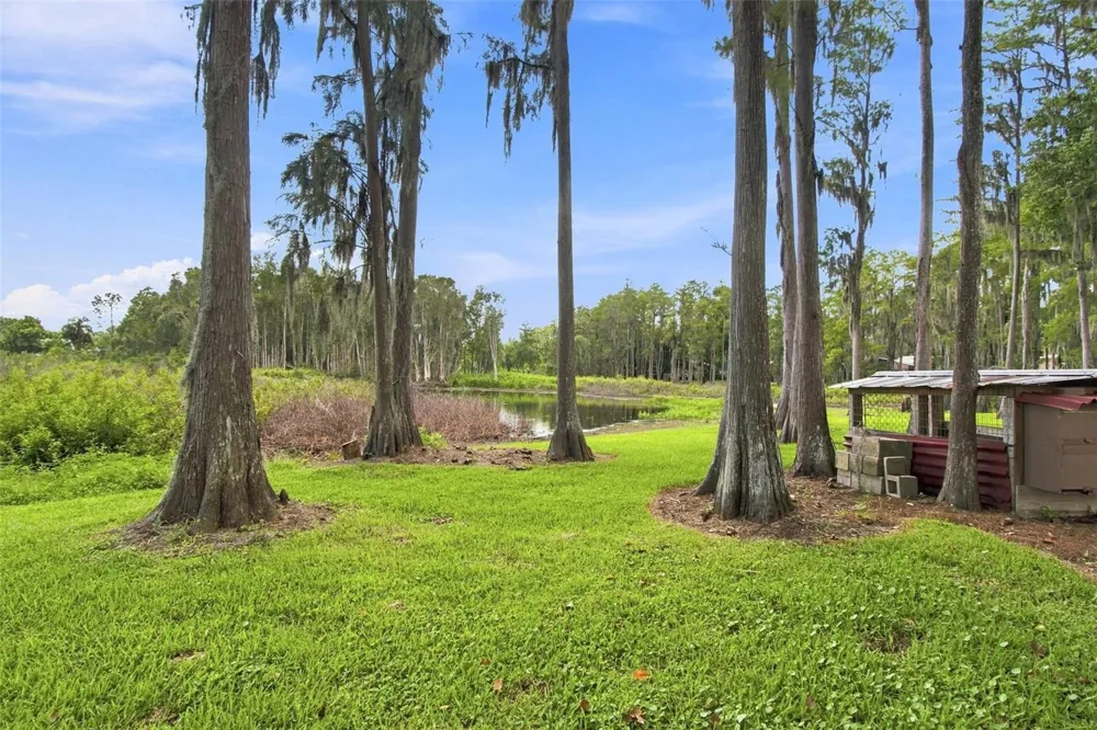 210 LAKE HOBBS ROAD Lutz, FL 33548