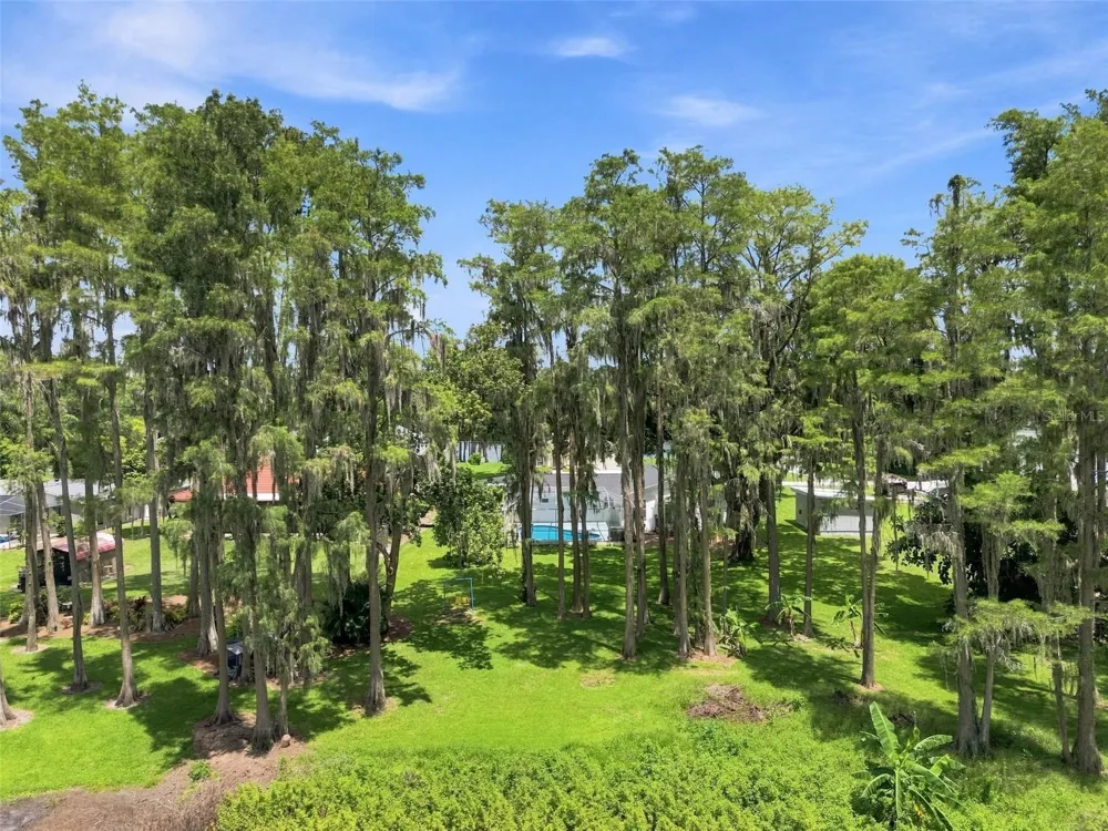 210 LAKE HOBBS ROAD Lutz, FL 33548