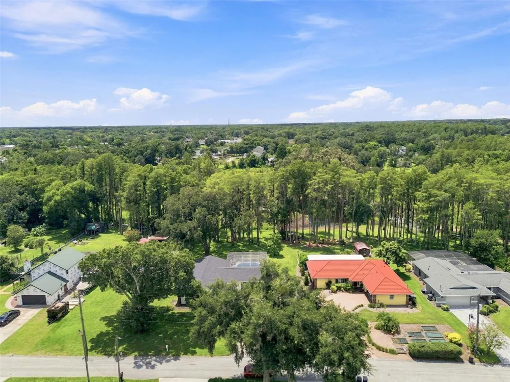 210 LAKE HOBBS ROAD Lutz, FL 33548