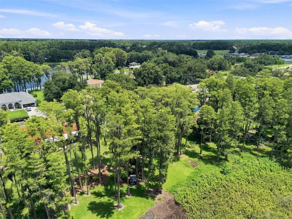 210 LAKE HOBBS ROAD Lutz, FL 33548