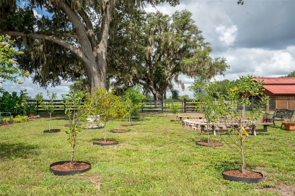 2242 CR 543 Sumterville, FL 33585