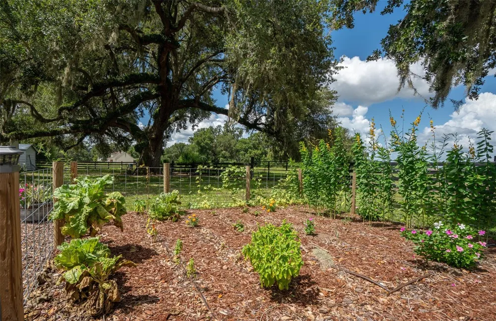 2242 CR 543 Sumterville, FL 33585