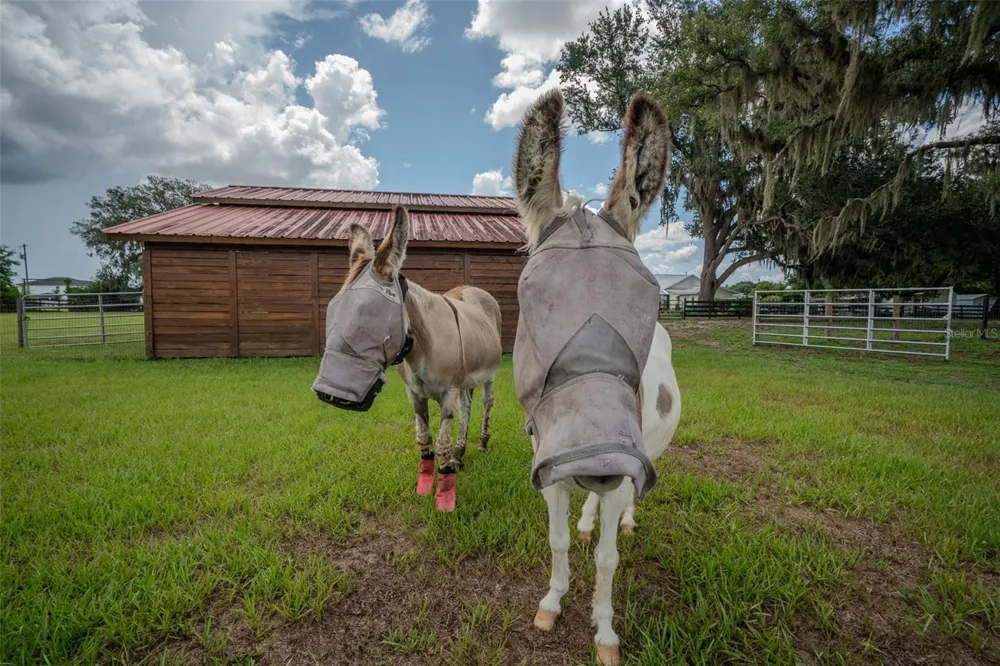 2242 CR 543 Sumterville, FL 33585