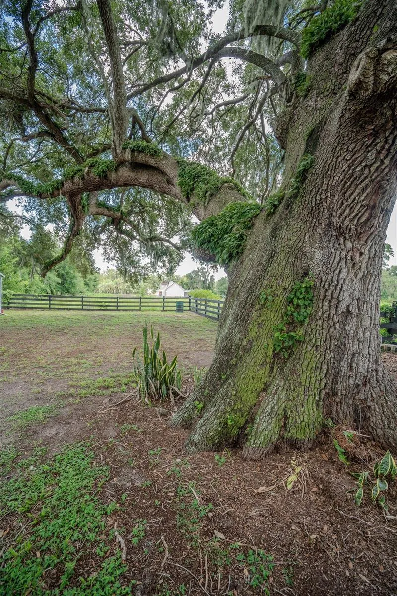 2242 CR 543 Sumterville, FL 33585