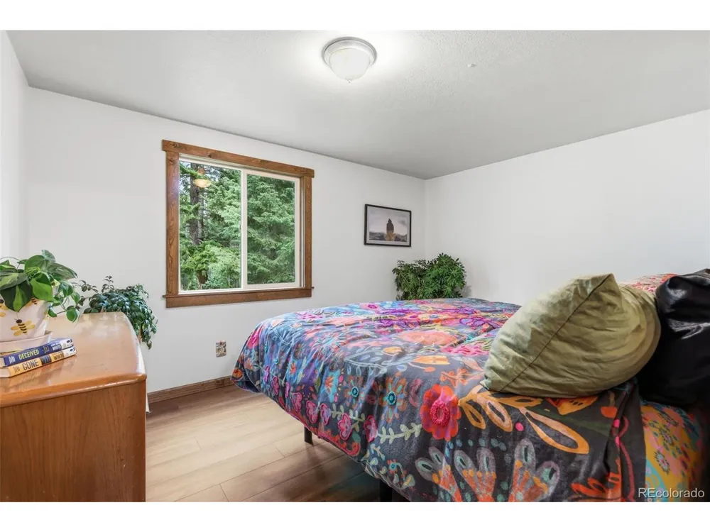 19133 Silver Ranch Road Conifer, CO 80433