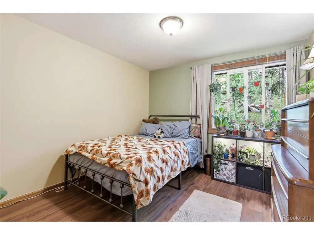 19133 Silver Ranch Road Conifer, CO 80433