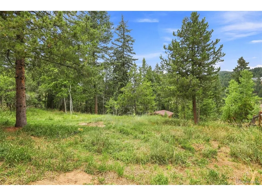 19133 Silver Ranch Road Conifer, CO 80433