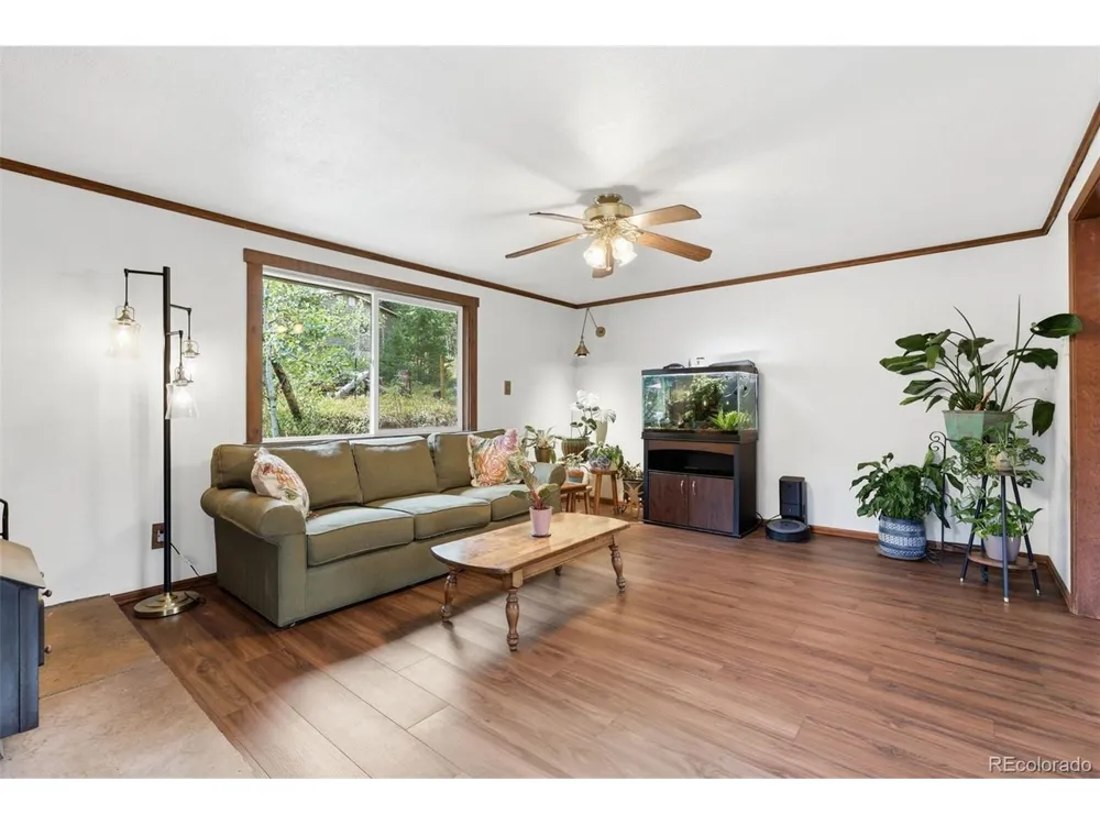 19133 Silver Ranch Road Conifer, CO 80433