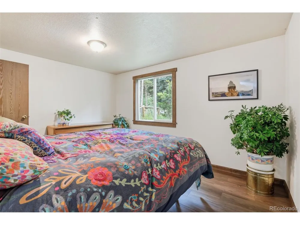 19133 Silver Ranch Road Conifer, CO 80433