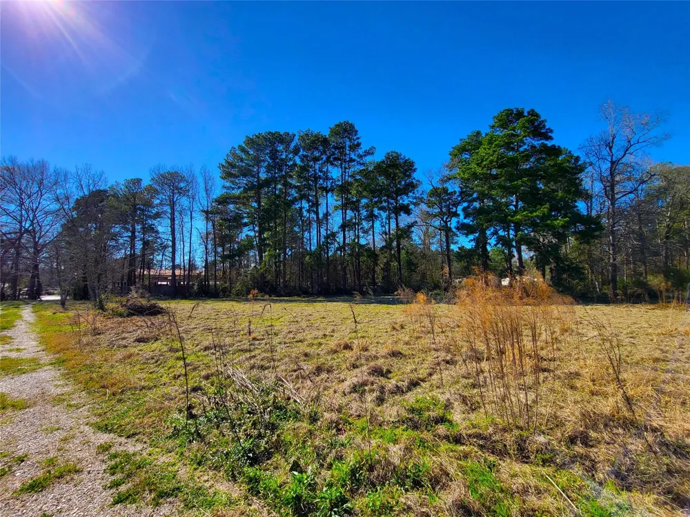 19320 Willaby Road New Caney, TX 77357