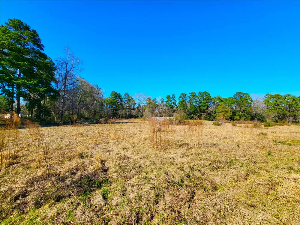 19320 Willaby Road New Caney, TX 77357