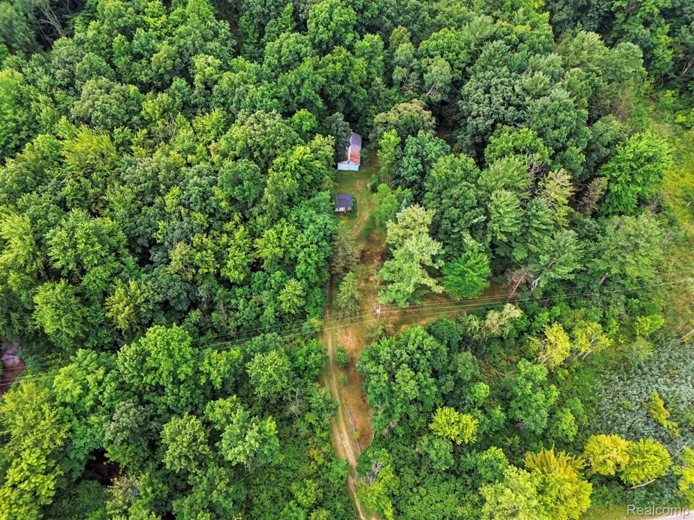 11180 Dunham Road Hartland Township, MI 48353