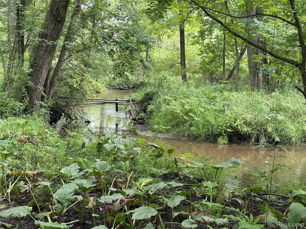 11180 Dunham Road Hartland Township, MI 48353