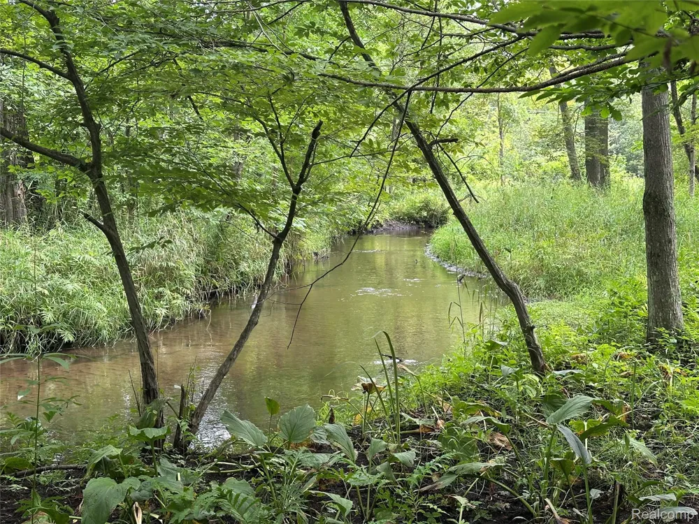 11180 Dunham Road Hartland Township, MI 48353