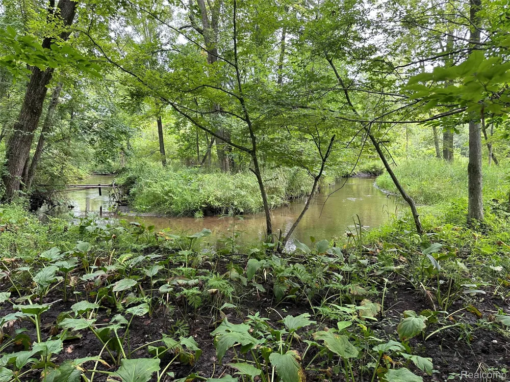 11180 Dunham Road Hartland Township, MI 48353