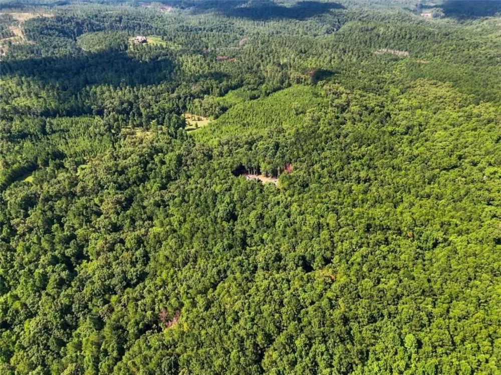 590 Old Shyers Ford Road Talking Rock, GA 30175