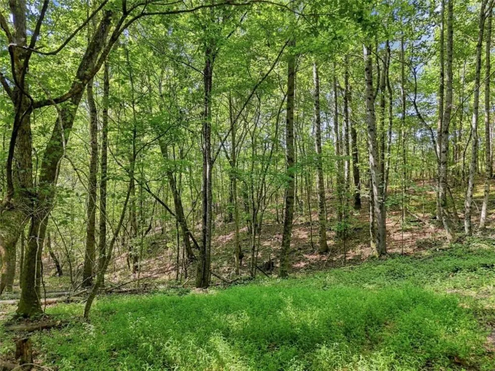 590 Old Shyers Ford Road Talking Rock, GA 30175