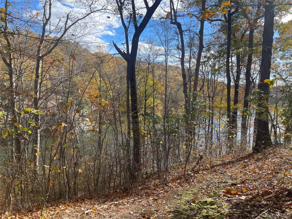 767 King Street Chappaqua, NY 10514