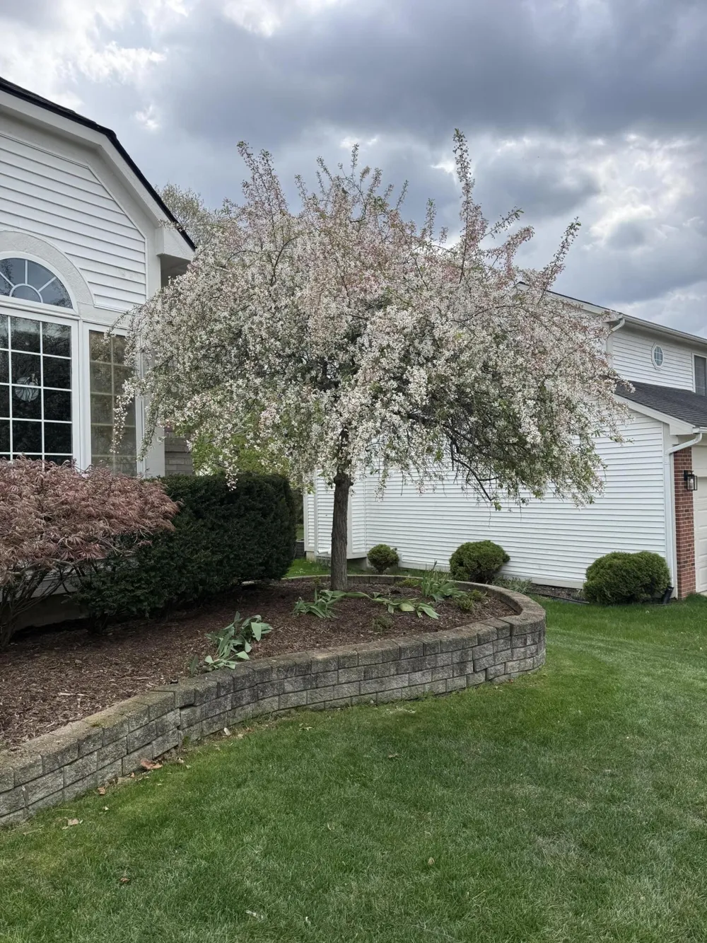 5975 Redstone Court Ann Arbor, MI 48103