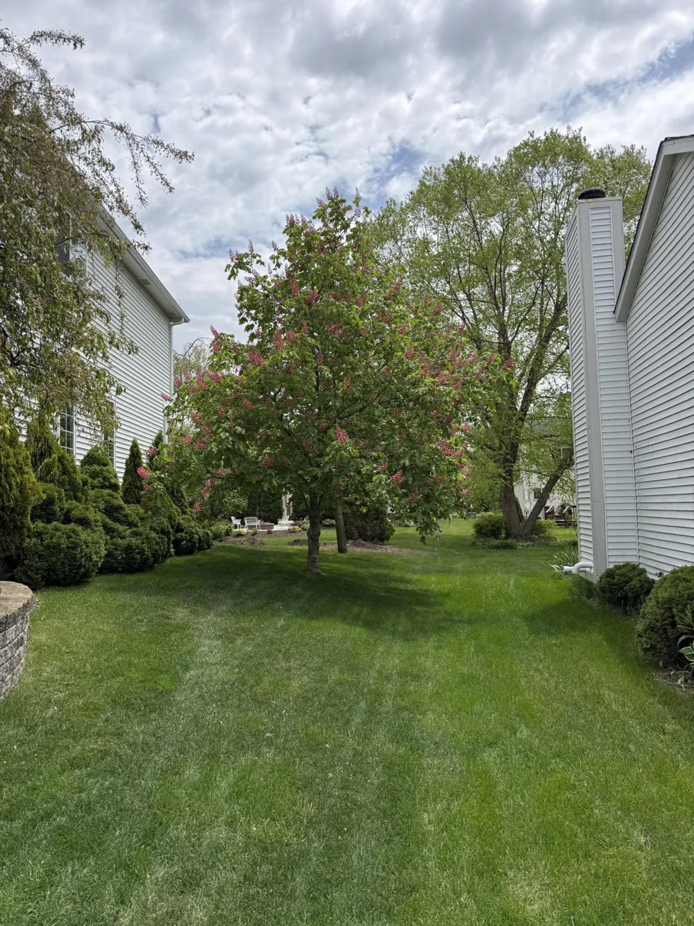 5975 Redstone Court Ann Arbor, MI 48103