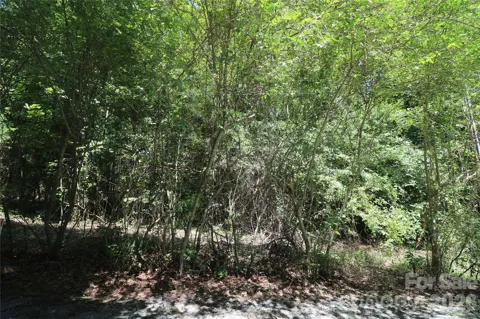 0 Shady Nook Circle