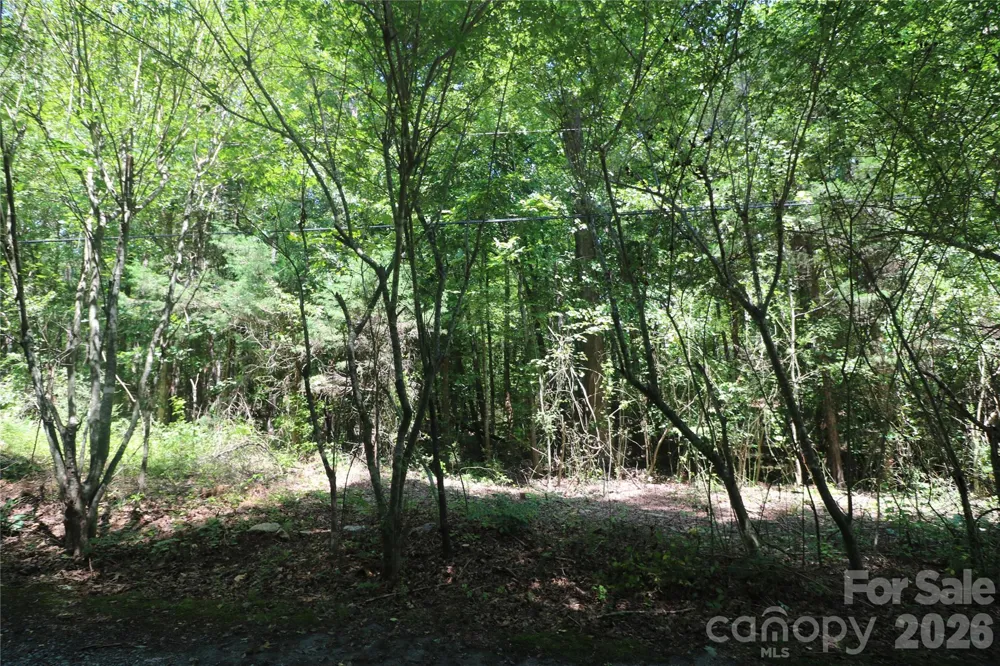 0 Shady Nook Circle Forest City, NC 28043