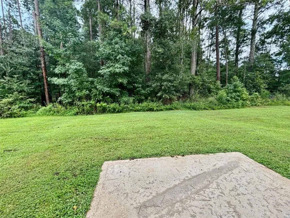 629 Carlton Pointe Drive Palmetto, GA 30268