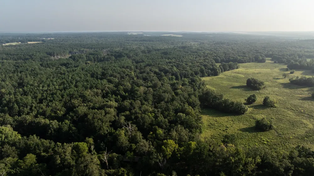 Cr 461 Laneville, TX 75667