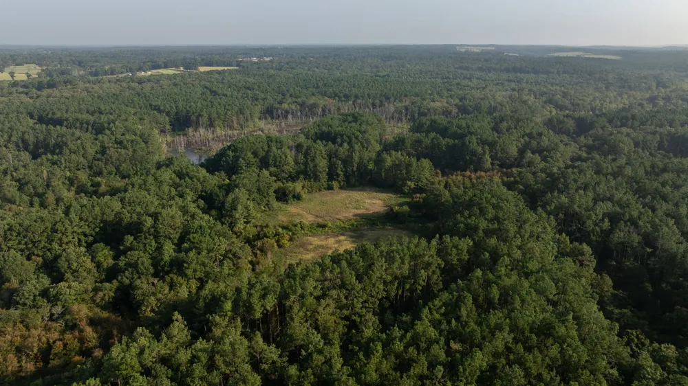 Cr 461 Laneville, TX 75667