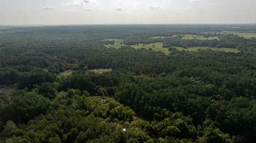 Cr 461 Laneville, TX 75667
