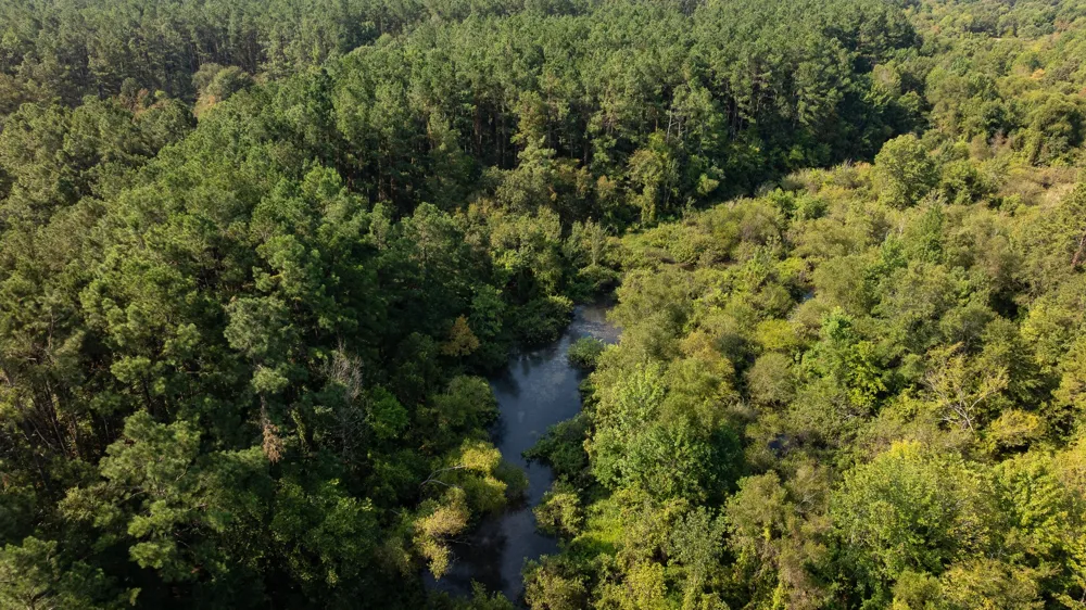 Cr 461 Laneville, TX 75667