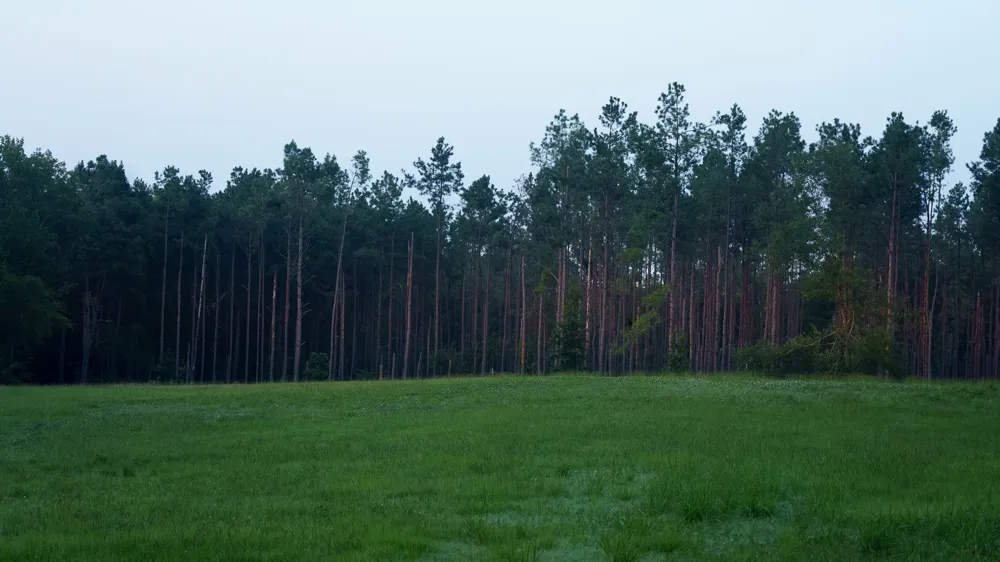 Cr 461 Laneville, TX 75667