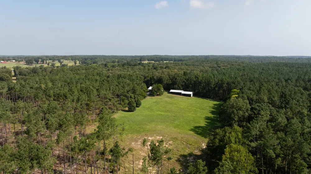 Cr 461 Laneville, TX 75667