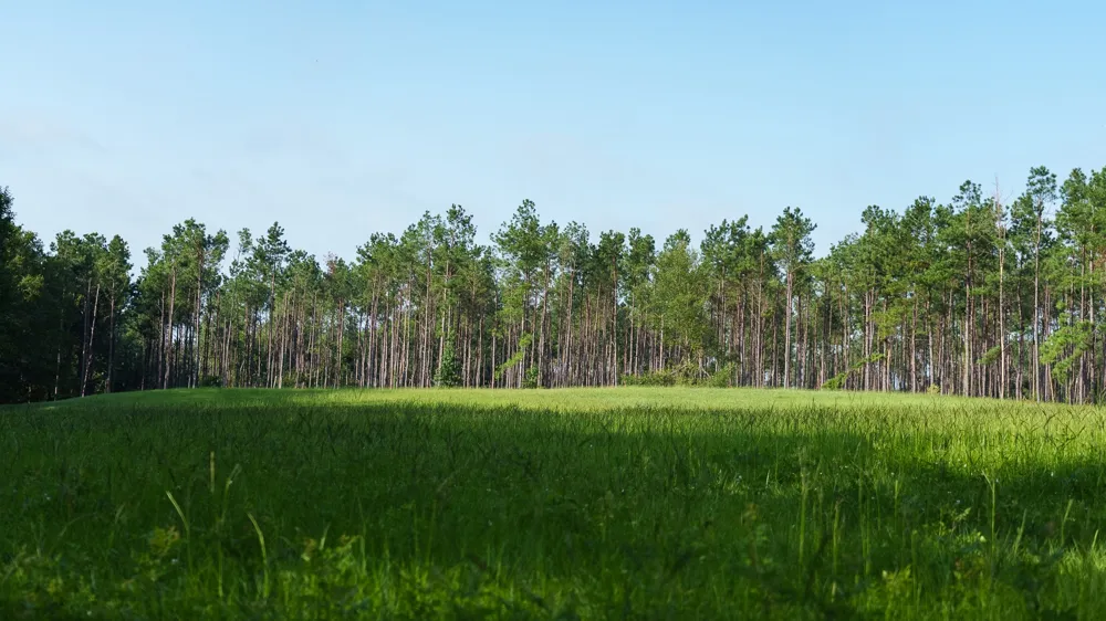 Cr 461 Laneville, TX 75667