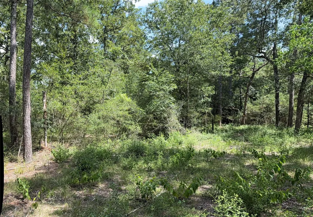 24805 Nottingham Circle Hockley, TX 77447