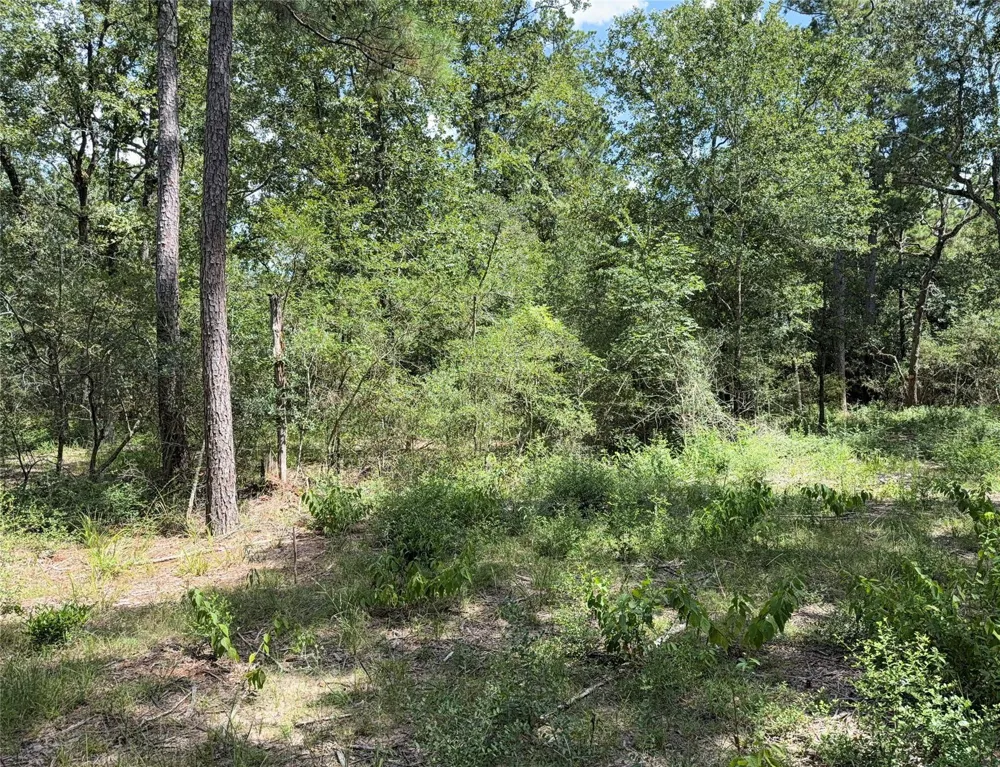 24805 Nottingham Circle Hockley, TX 77447
