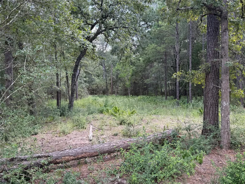24805 Nottingham Circle Hockley, TX 77447